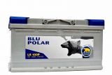 BAREN Blu Polar
